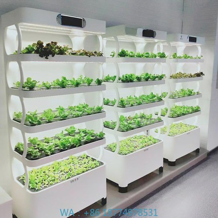 Sistema de cultivo automatizad - Diy Home Automation System avaliação e preço